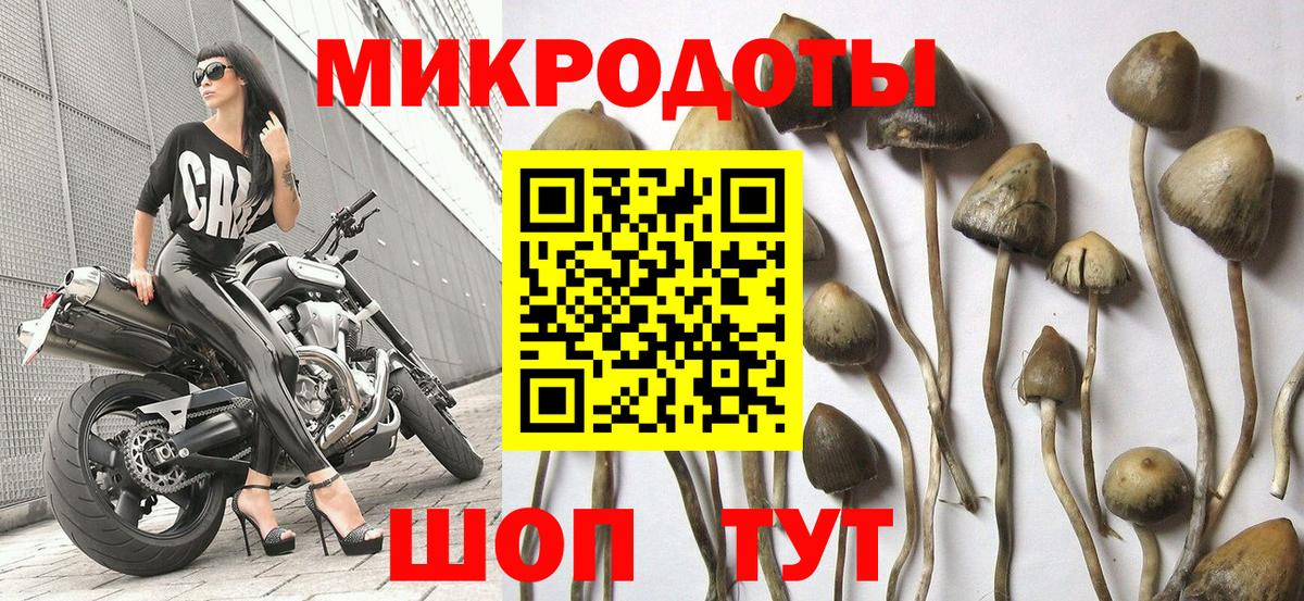 Кинешма  Псилоцибиновые грибы MAGIC MUSHROOMS  Галлюциногенные грибы мицелий  Вход с VPN 