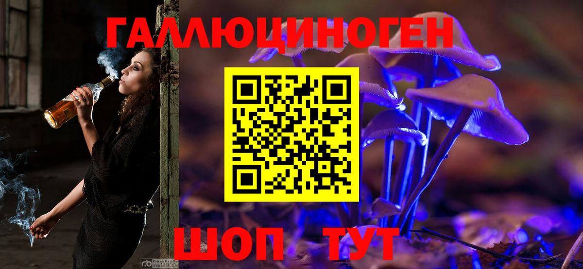 Галлюциногенные грибы GOLDEN TEACHER Кинешма